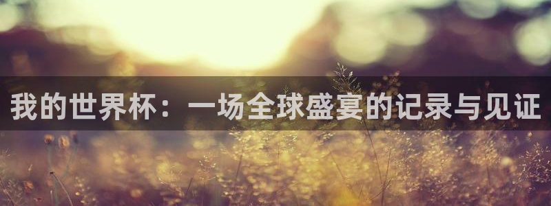 世界杯系列赛：我的世界杯：一场全球盛宴的记录与见证