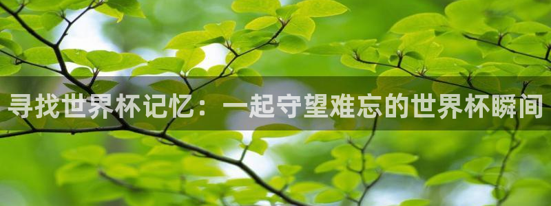 2026世界杯官网入口:寻找世界杯记忆:一起守望难忘的世界杯瞬间