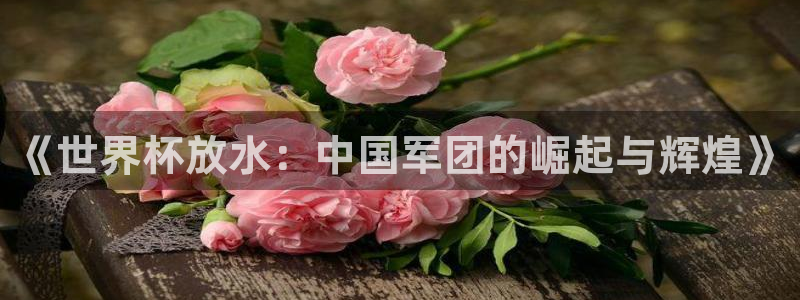 2026年世界杯：《世界杯放水：中国军团的崛起与辉煌》