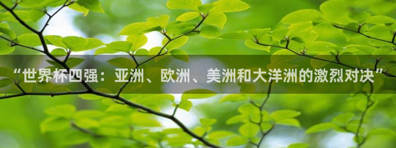 2006年世界杯：“世界杯四强：亚洲、欧洲、美洲和大洋洲的激烈对决”