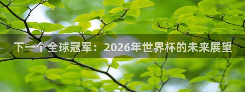 世界杯球队排名：下一个全球冠军：2026年世界杯的未来展望