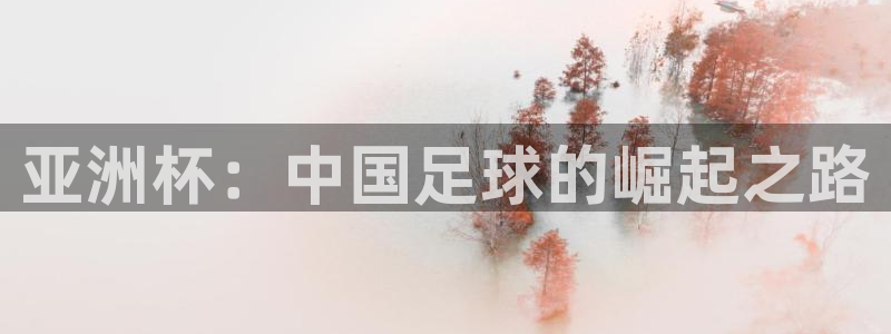 世界直播：亚洲杯：中国足球的崛起之路