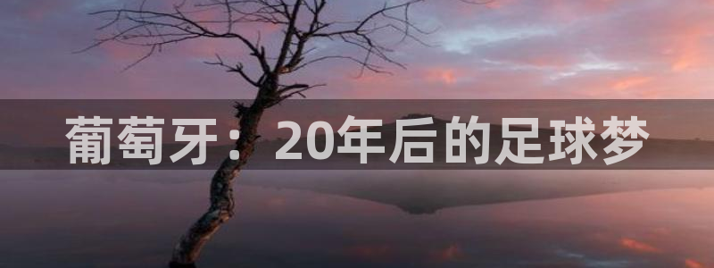 世界杯比赛赛程：葡萄牙：20年后的足球梦