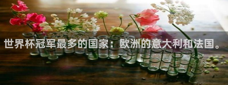 世界杯亚洲区预选赛赛程：世界杯冠军最多的国家：欧洲的意大利和法国。