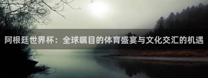 世界杯足球：阿根廷世界杯：全球瞩目的体育盛宴与文化交汇的机遇