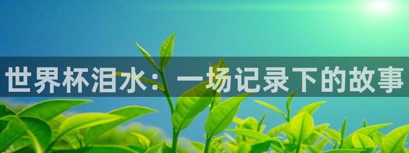 世界杯亚洲区预选赛：世界杯泪水：一场记录下的故事