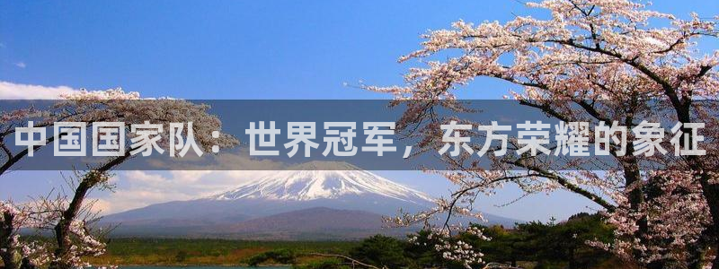 2026世界杯32强对阵图表:中国国家队:世界冠军,东方荣耀的象征