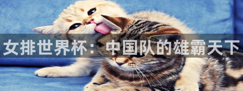 世界杯足球赛2026：女排世界杯：中国队的雄霸天下
