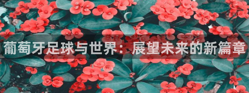 世界杯直播在线观看入口：葡萄牙足球与世界：展望未来的新篇章