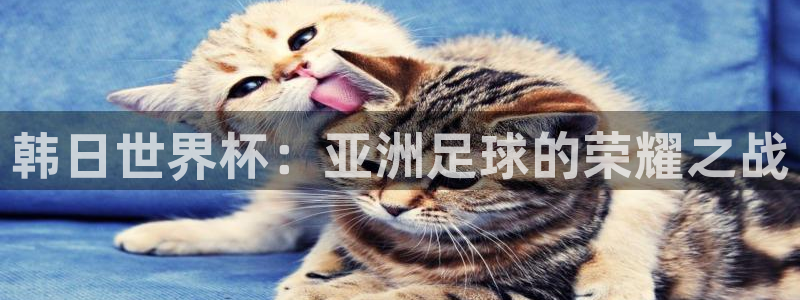 世界杯欧洲区世预赛赛程：韩日世界杯：亚洲足球的荣耀之战